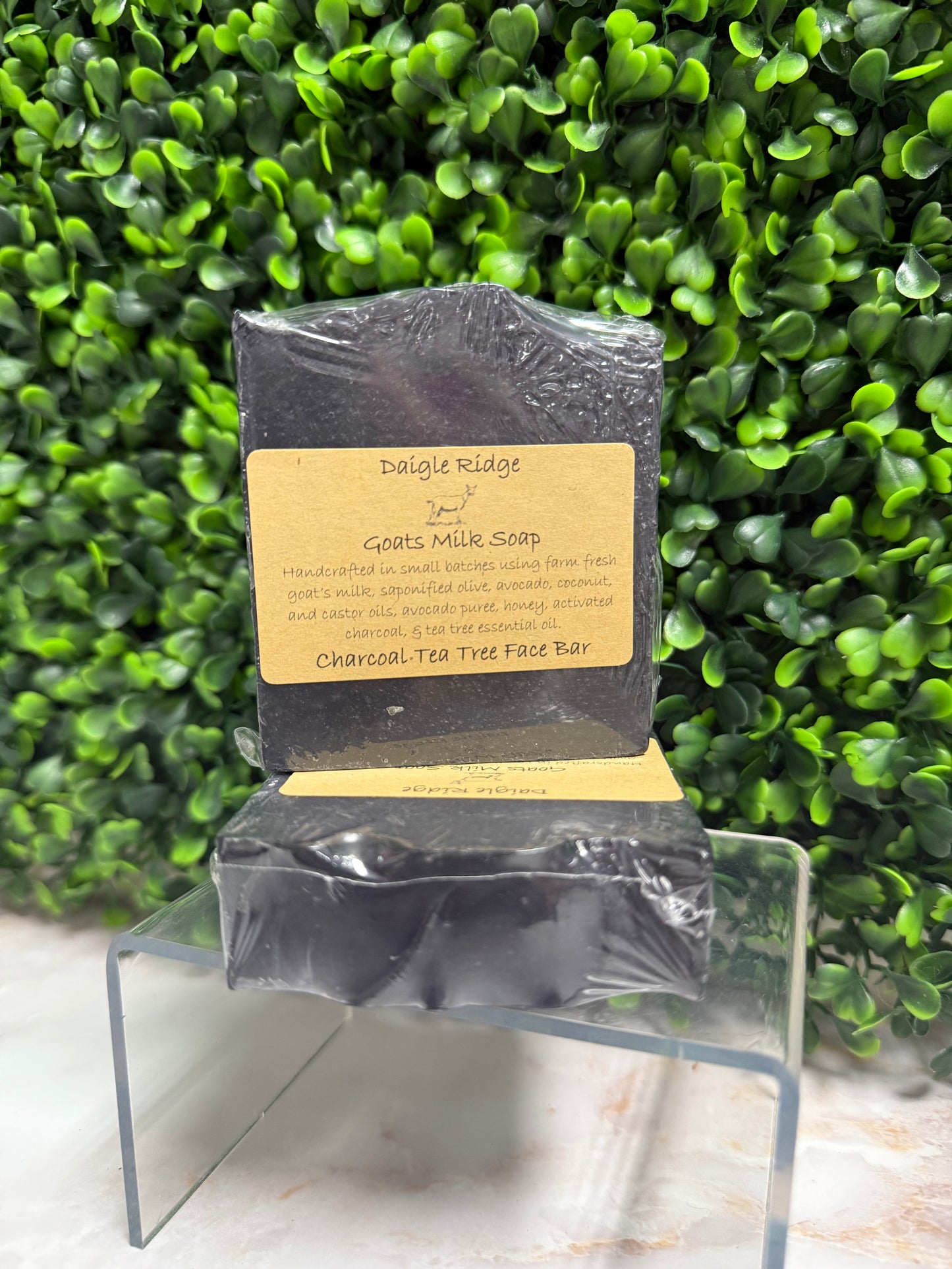 Charcoal Tea Tree Face Bar