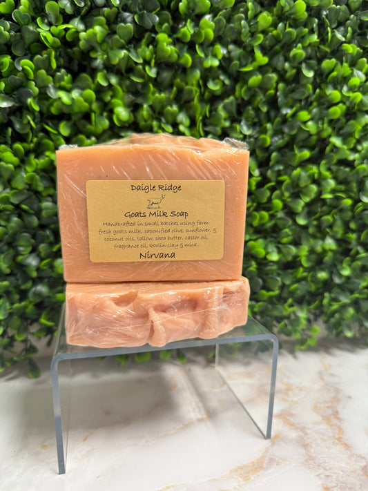 Nirvana Soap