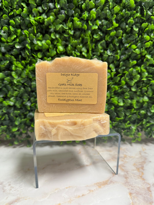 Eucalyptus Mint Soap